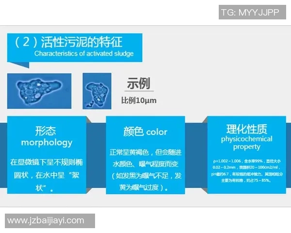 赛后分析:西安乒乓球队与重庆乒乓球队的心理素质对比探讨 赛后分析:西安乒乓球队与重庆乒乓球队的心理素质对比探讨